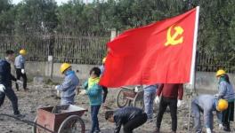 寧波海螺水泥公司黨員突擊隊(duì) “造綠色廠區(qū)，建美麗企業(yè)”