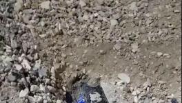 大貨車闖紅燈側(cè)翻!小車瞬間被埋!致3人死亡！