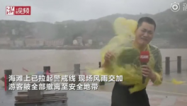 霸王級(jí)臺(tái)風(fēng)席卷多省份!近1000家水泥銷售受影響！  