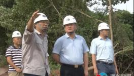 南方水泥上半年?duì)I收3.65億元！新項(xiàng)目推進(jìn)中！