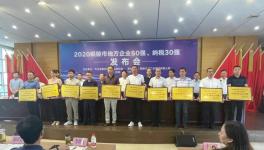 銅陵上峰:連續(xù)9年上榜“地方企業(yè)50強(qiáng)”！