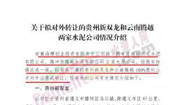 海螺創(chuàng)業(yè)擬對外轉(zhuǎn)讓這兩家公司100%股權(quán)！