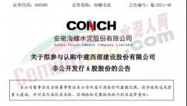 大手筆！海螺17.6億入股商混龍頭！