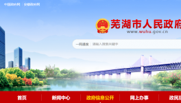 蕪湖海螺5.3MW光伏發(fā)電項目成功獲批！