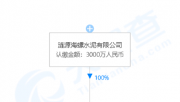 加速收購！海螺水泥在下一盤大棋！