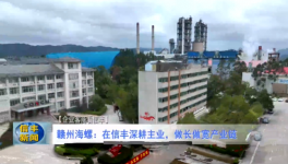 海螺子公司3條熟料生產(chǎn)線實(shí)現(xiàn)營收118億！
