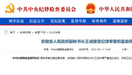 突發(fā)！海螺原董事長被查！