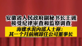 立案！海螺、華新、華潤等多位高管被查！