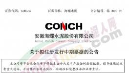 海螺水泥擬發(fā)行不超100億票據(jù)！