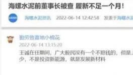 海螺蒸發(fā)1300億，逾700億元投資或存變數(shù)！