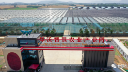 巧用水泥余熱，工業(yè)轉(zhuǎn)型反哺農(nóng)業(yè)！
