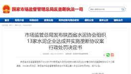 陜西水泥協(xié)會(huì)及13家水泥企業(yè)被罰4.51億！