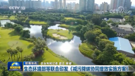環(huán)保政策加嚴！氨逃逸不超標這些企業(yè)做到了！