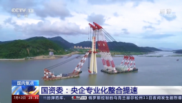 央視新聞報道：中國建材專業(yè)化整合成效經驗交流！