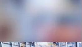 殺公雞！開(kāi)窯！水泥廠“辟邪”！
