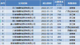 瘋狂！海螺成立96家“能源”公司！