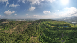 從滿目瘡痍到無(wú)塵、清潔、生態(tài)礦山，3年見(jiàn)證涅槃重生！