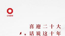 喜迎二十大:話說這十年，專業(yè)化整合深入推進 產(chǎn)業(yè)布局不斷優(yōu)化