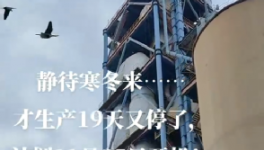 全停！最長(zhǎng)200天！20個(gè)省水泥廠停產(chǎn)！