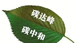 縫出匠心！這家環(huán)保企業(yè)脫穎而出！市場(chǎng)占有率名列前茅！