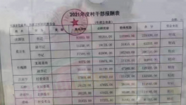 工資曝光！村長(zhǎng)“秒殺”水泥廠高管！