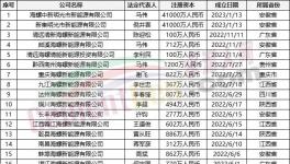 瘋狂！“上下”通吃！海螺連續(xù)成立50多家公司！