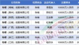 大動(dòng)作！中建材、海螺、紅獅成立35家新公司！